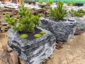 Сделаны новые композиции в каменных вазонах